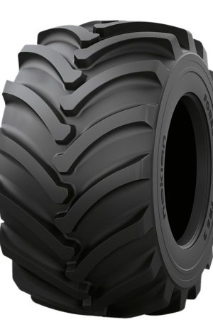 710/55-34/24 FOREST KING TRS 2PLUS SF TT NOKIAN