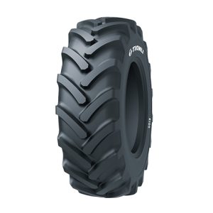 425/55 R17 134D TL TIANLI IMPLEMENT RADIAL R100