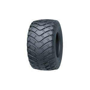 710/45 R22,5 165D TL TIANLI RIDEKING (STEEL BELTED)