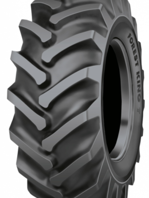 540/70 - 30 Nokian Forest King T SF 152 A8/159 A2 TT AS