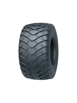 560/60 R22,5 161D TL TIANLI RIDEKING STEEL BELTED
