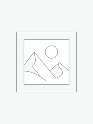 Zástupný symbol